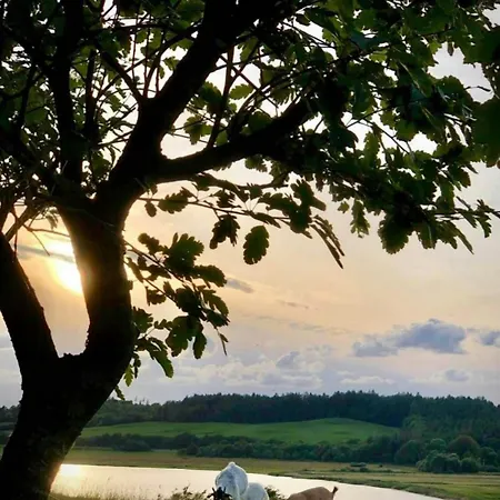 180 Degree View Over Sebbersund Fjord * Nibe